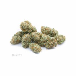9 Pound Hammer (AAA) (28g)