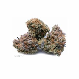 Pink Lemonade (AAA) (28g)