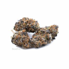 Purple Tangerine (AAA) (28g)