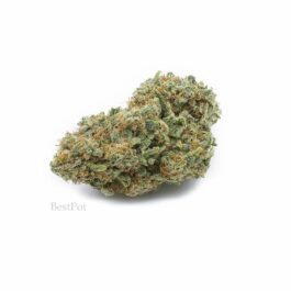 (AAA) Strawberry Cough Strain