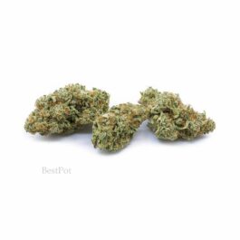 Strawberry Cough Strain (AAA) (28g)