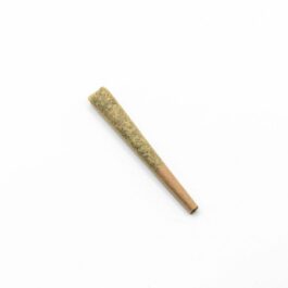 Pre-Roll Pack Indica – Bubba Kush