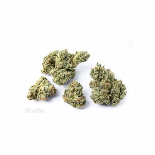 TUNAWEB CBD 003