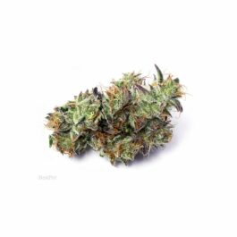 Blue Charlotte CBD