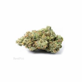 Critical Kush (AAA) (28g)