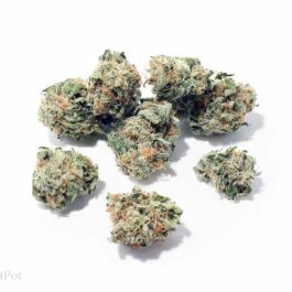 Blue Dream (Small Buds)