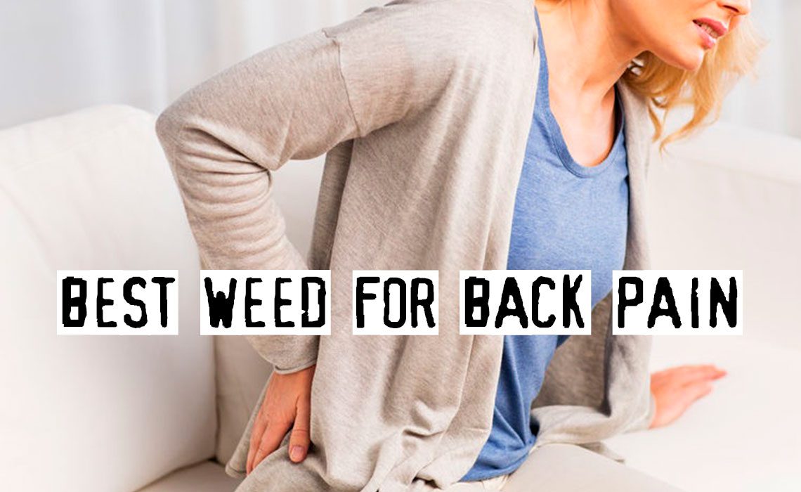 You are currently viewing Best Weed for Back Pain