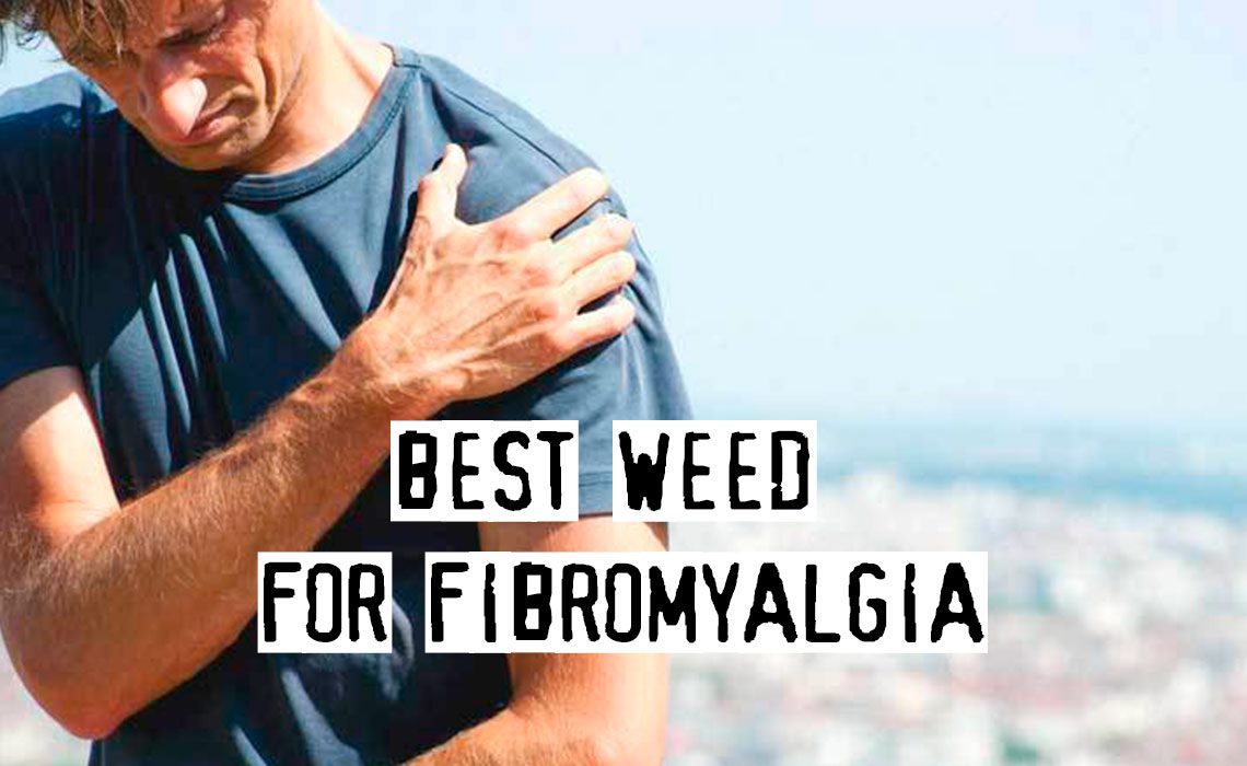 You are currently viewing Best Weed for Fibromyalgia