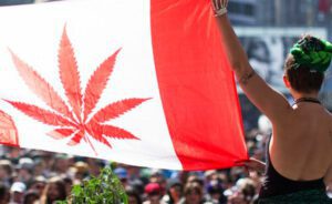 Read more about the article Is Pot Legal in Canada?