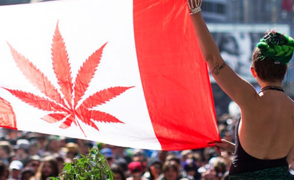 You are currently viewing Is Pot Legal in Canada?