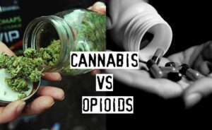 Read more about the article Cannabis vs Opioids, What Deals Better with Chronic Pain?