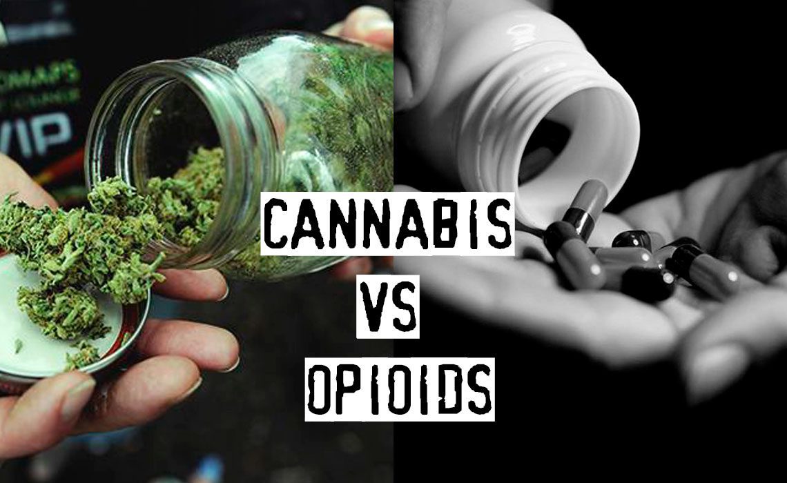 You are currently viewing Cannabis vs Opioids, What Deals Better with Chronic Pain?