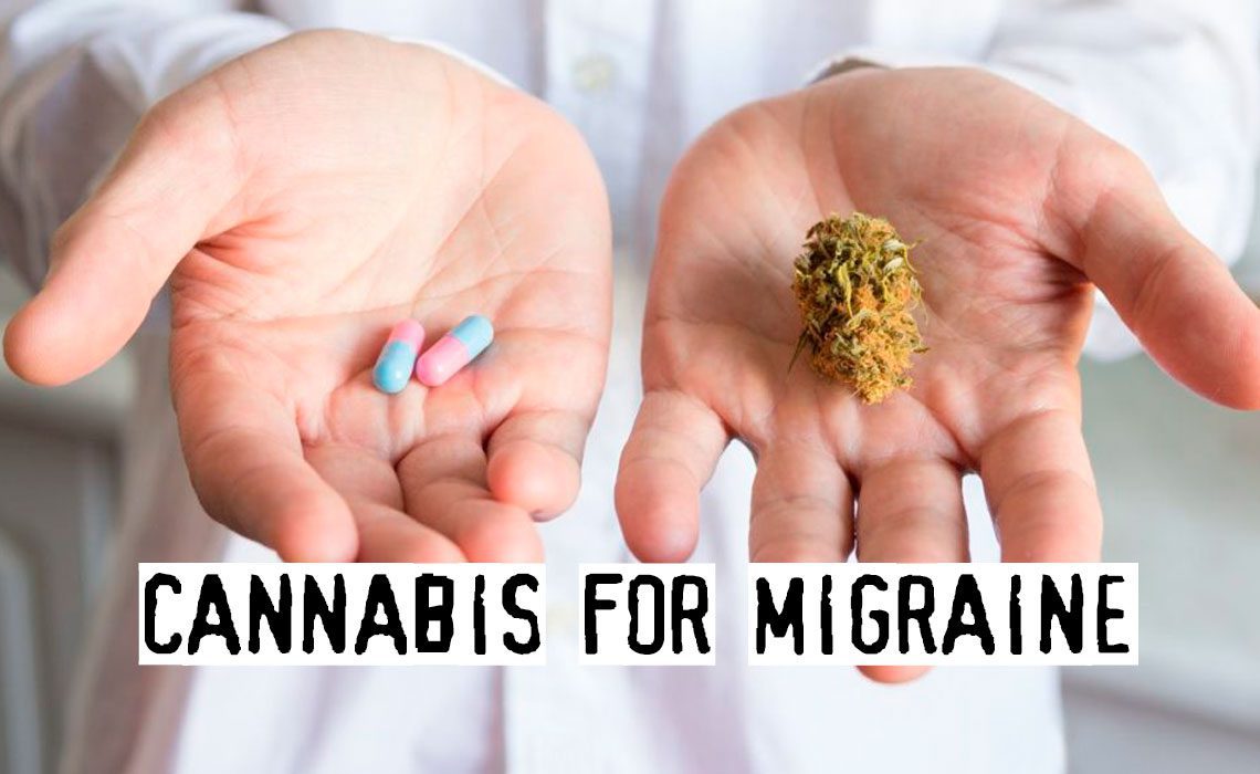 You are currently viewing Cannabis for Migraine, How To Cure Migraine With Weed