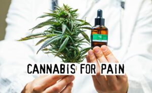 Read more about the article Cannabis for Pain