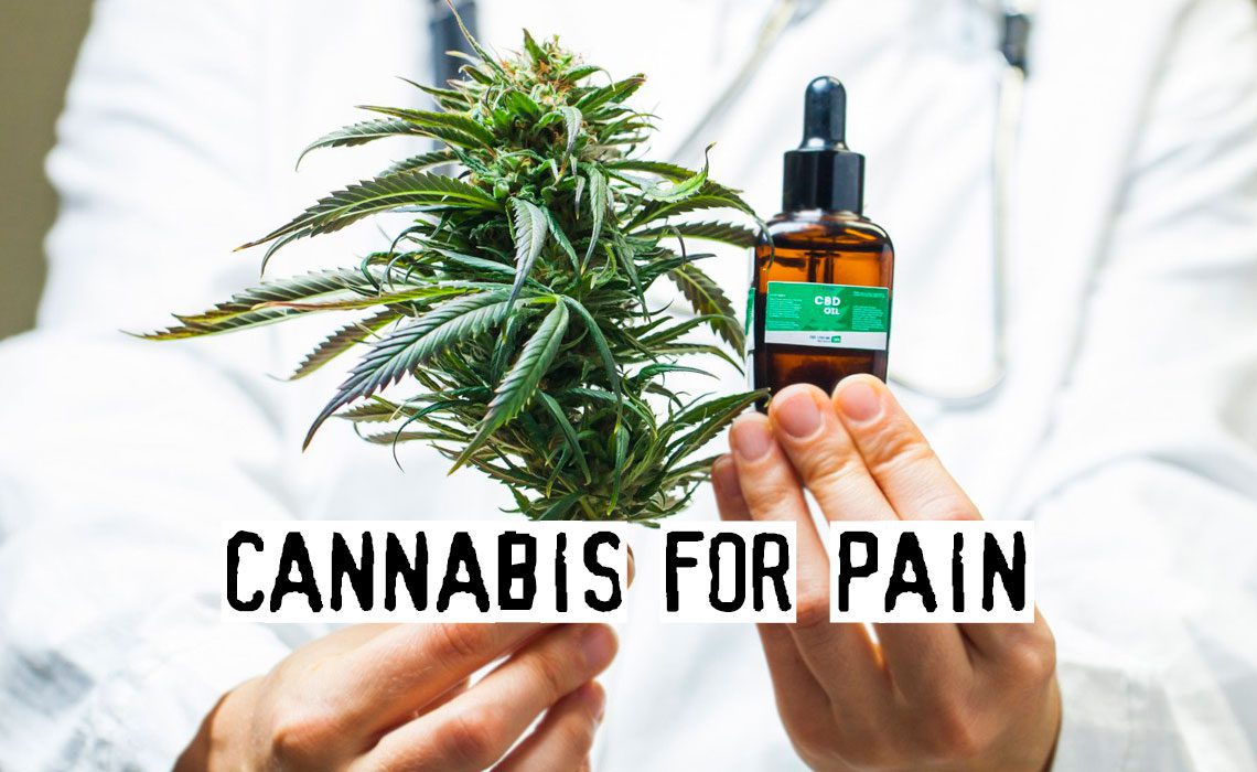 You are currently viewing Cannabis for Pain