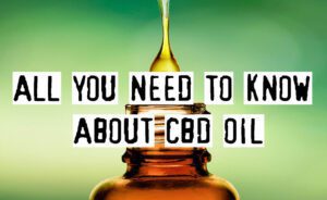 Read more about the article All You Need To Know About CBD Oil, Guide For Newbies