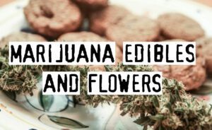 Read more about the article Differences Between Marijuana Edibles And Flowers