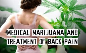 Read more about the article Uses of Medical Marijuana for Treatment of Back Pain