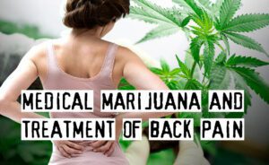 effectsofmedicinalcannbisforbackpaintreatment