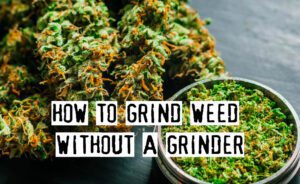 Read more about the article How to Grind Weed Without a Grinder