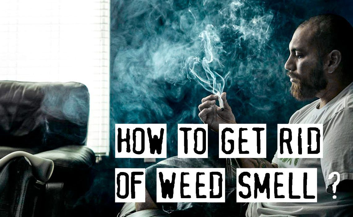 You are currently viewing How To Get Rid Of Weed Smell, Top Practical Tips