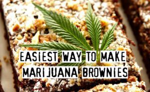 Read more about the article How To Make Marijuana Brownies In The Easiest Way