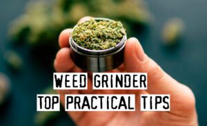 Read more about the article How To Use A Weed Grinder, Top Practical Tips