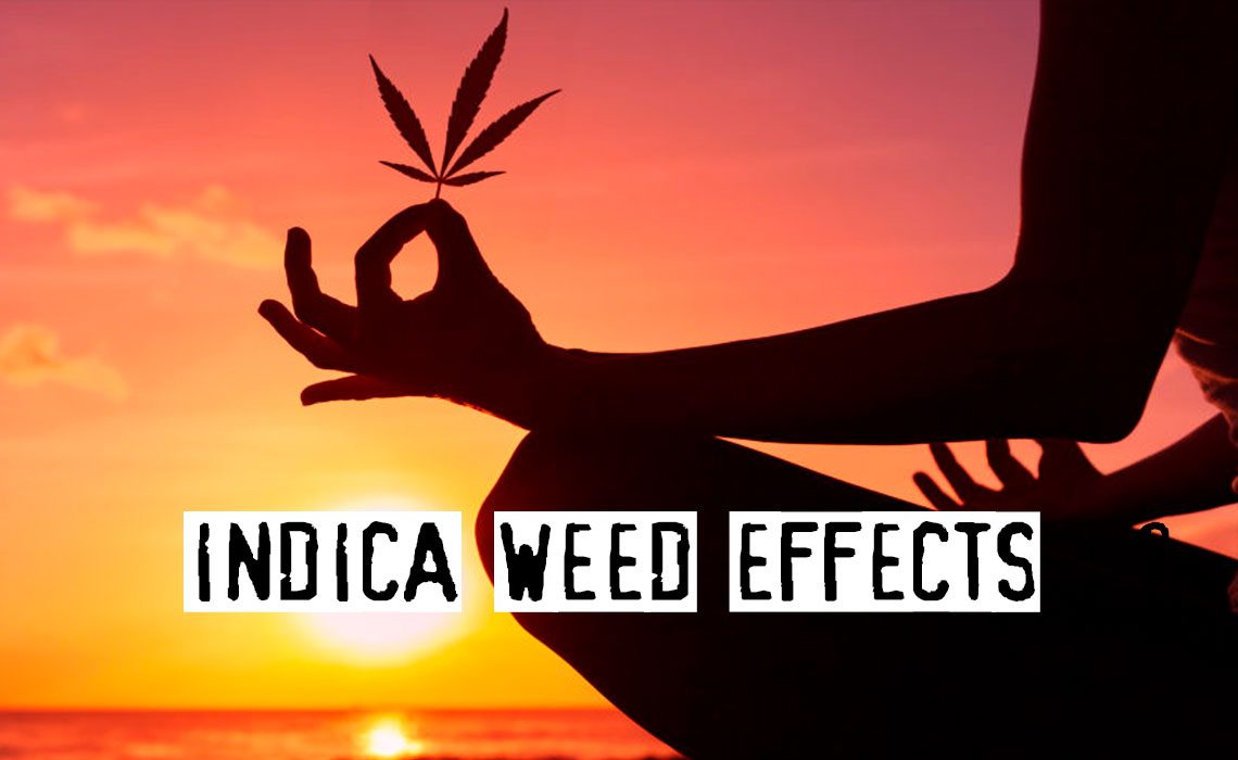 You are currently viewing Indica Weed Effects, Most Common Uses of Indica Strains