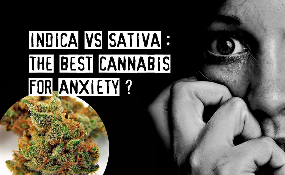 You are currently viewing Indica vs Sativa: What Are the Best Cannabis Strains to treat Anxiety?