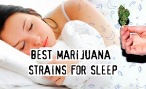 Read more about the article Best Marijuana Strains For Sleep