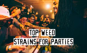 Top 10 Weed Strains for Parties