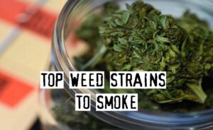 Read more about the article Top 13 Weed Strains To Smoke in 2019