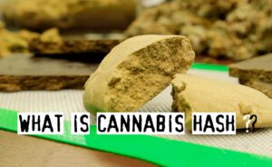 Read more about the article What is Cannabis Hash?