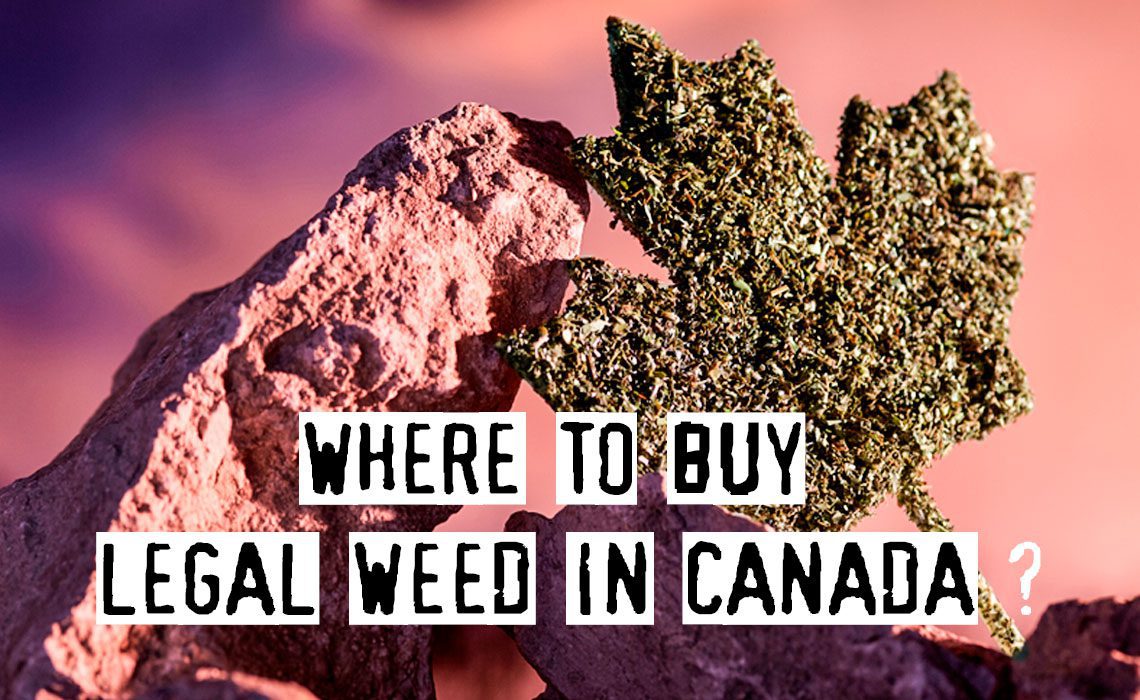 You are currently viewing Where to Buy Legal Weed in Canada, Top List 2019!