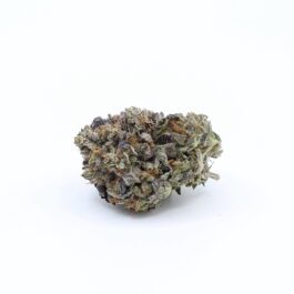 Tuna Breath (AAA) (28g) (CLEARANCE)