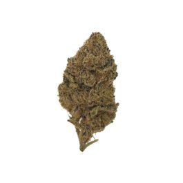 Violet Fog – DOOR CRASHER – 1oz