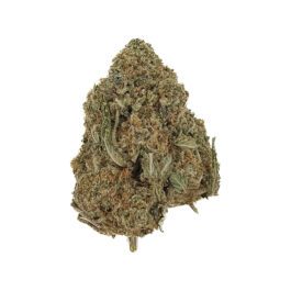 Jack Herer (28 Grams)