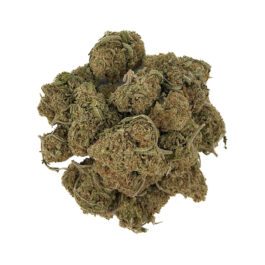 Jack Herer (28 Grams)