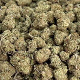 Jack Herer (Half Pound)