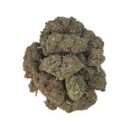 Girl Scout Cookies (28 Grams)