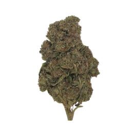 OGK Berry *DOOR CRASHER* (28 Grams)