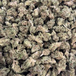 Apricot Jelly Smalls (Half Pound)