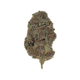 Purple Haze *DOOR CRASHER* (28 Grams)