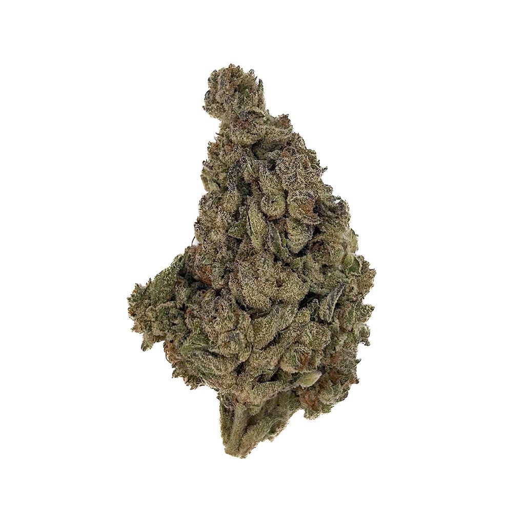Animal Gas