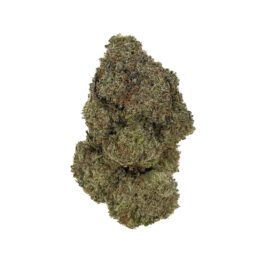 Mango Haze (28 Grams)
