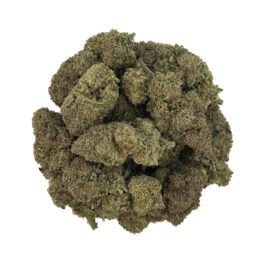 Mango Haze (28 Grams)