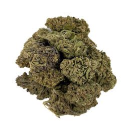 Orange Sherbet (Greenhouse – 28 Grams)