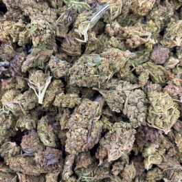 Orange Sherbet (Greenhouse – Half Pound)